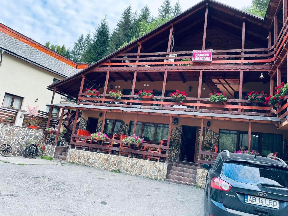 Cabana Loredana Vadu Motilor Exterior photo
